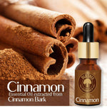 Thumbnail for Old Tree Cinnamon Essential Oil - Distacart