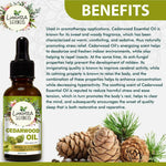 Thumbnail for Luxura Sciences Organic Cedarwood Essential Oil - Distacart