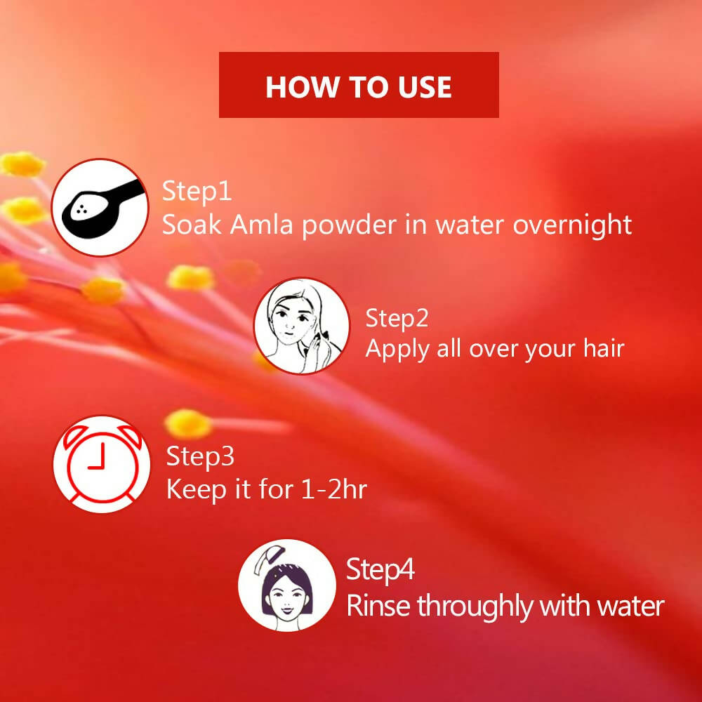 Syndy Pharma Hibiscus Powder for Hair - Distacart