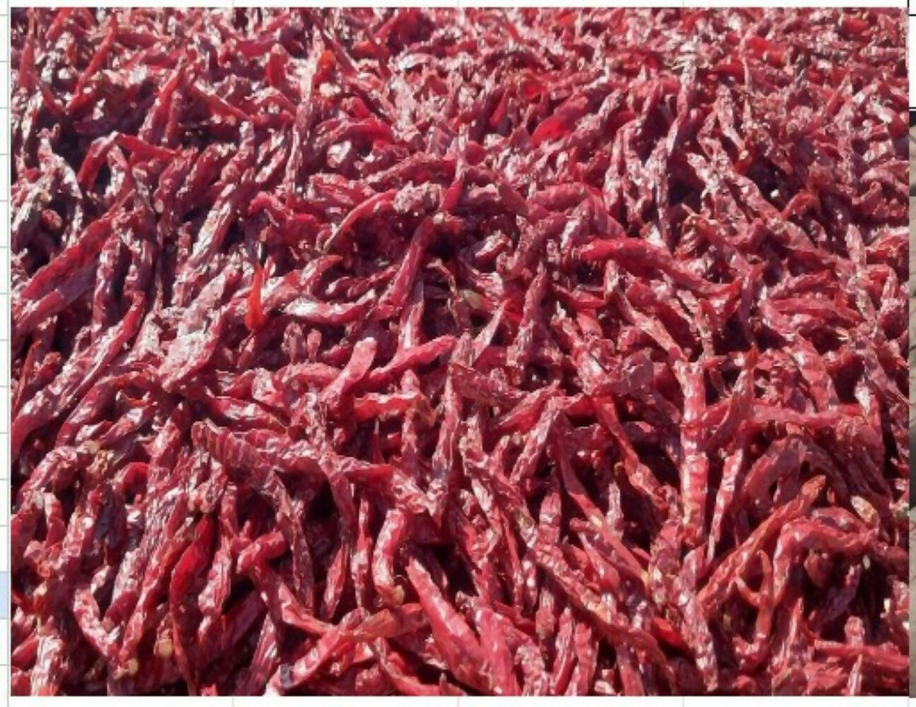 Namma Byadgi's Mirchi Kit - Dry Red Chillies & Chilli Powder - Distacart