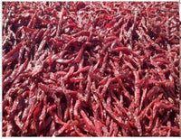 Thumbnail for Namma Byadgi's Mirchi Kit - Dry Red Chillies & Chilli Powder - Distacart