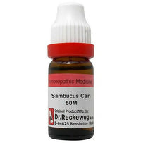 Thumbnail for Dr. Reckeweg Sambucus Can Dilution - Distacart