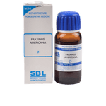 Thumbnail for SBL Homeopathy Fraxinus Americana Mother Tincture Q