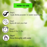 Thumbnail for Syndy Pharma Amla Powder (Indian Gooseberry) - Distacart