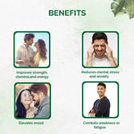 Thumbnail for Dr. Vaidya's SJ Gold Capsules - Distacart