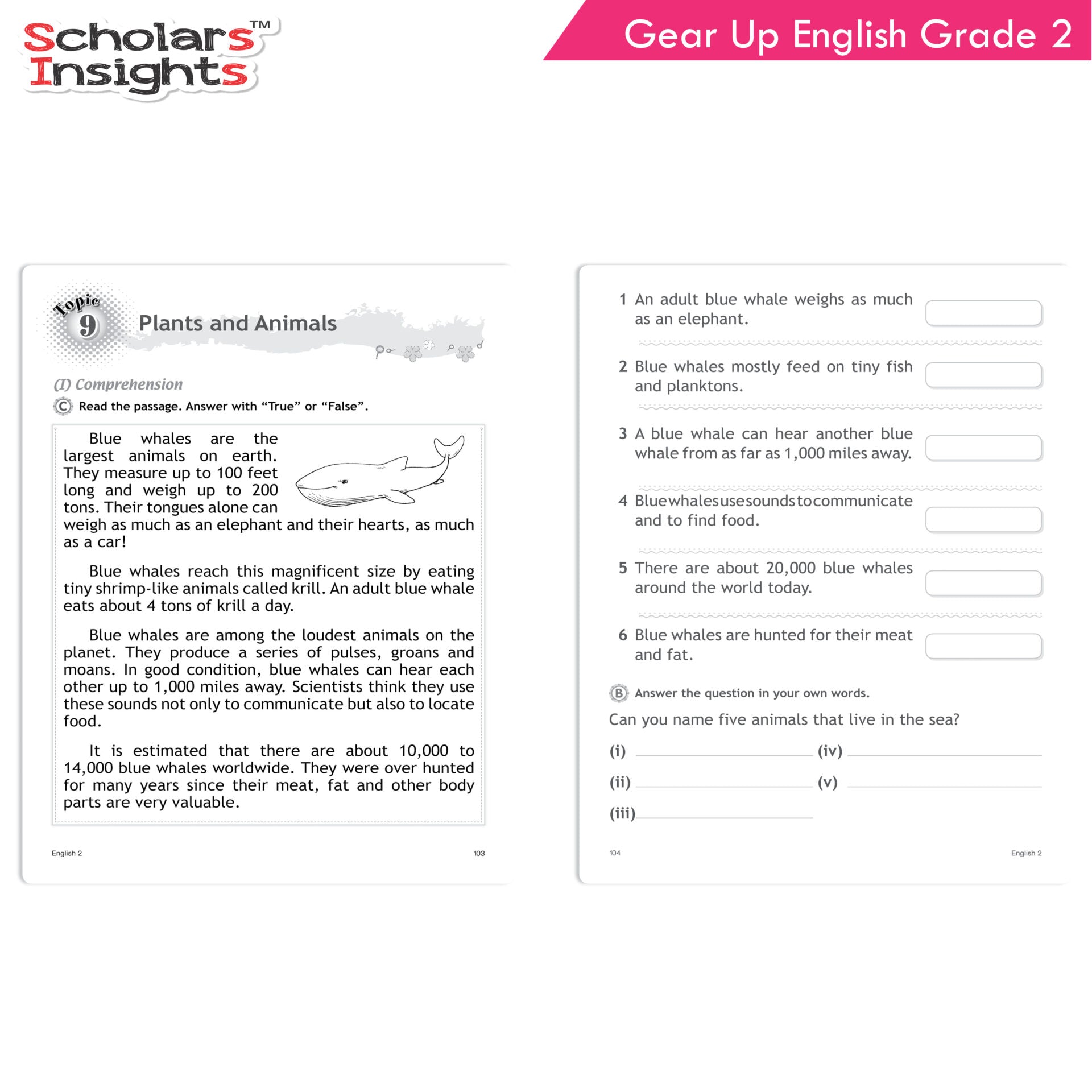 Scholars Insights Gear Up English Grade 2 - Distacart