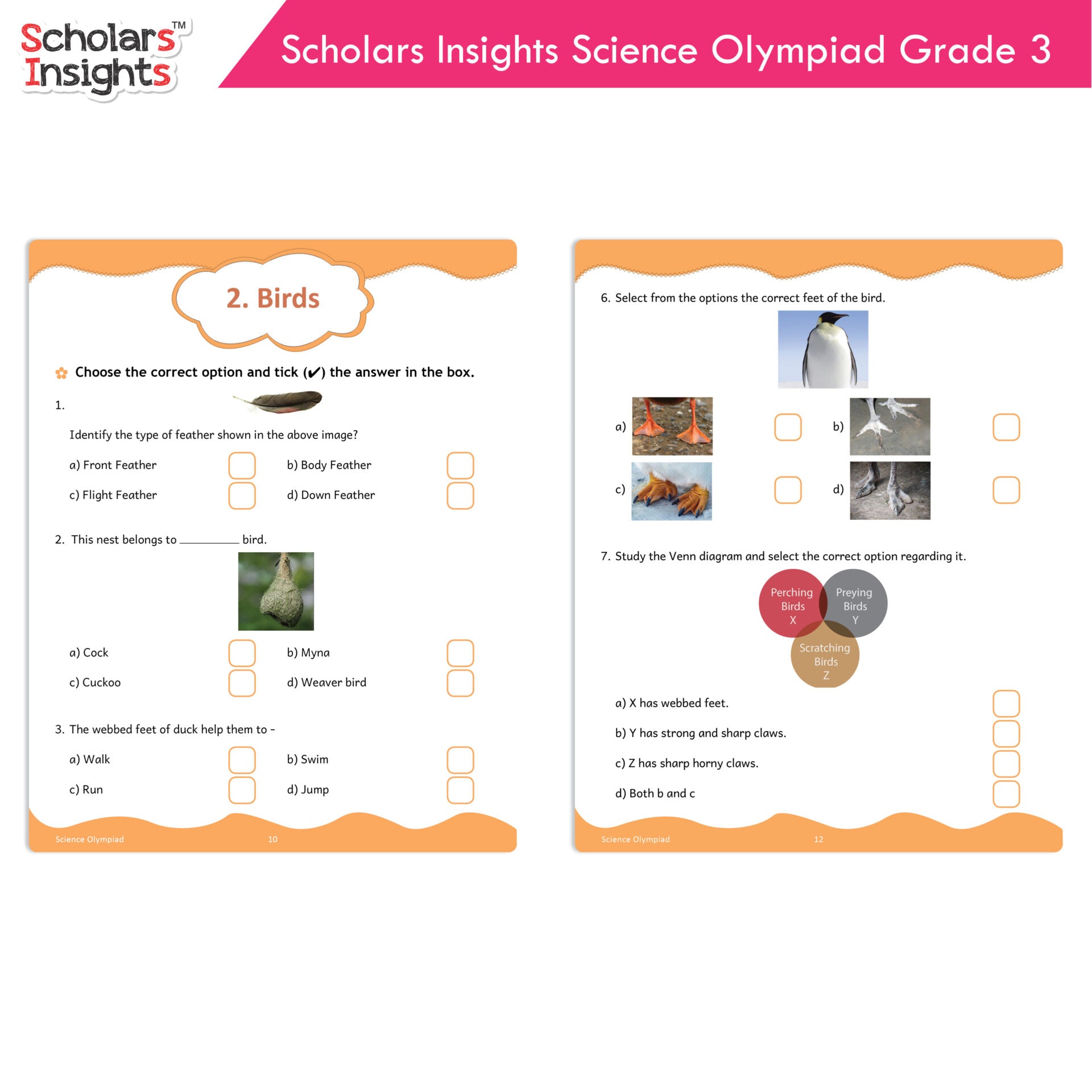 Scholars Insights Olympiad English, Maths and Science Workbooks Set Grade 3| Set of 3| Ages 8 - 10 Years - Distacart