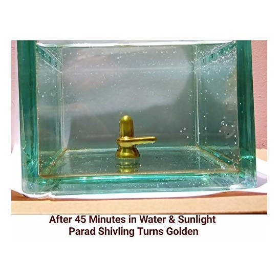 G.S Rana Parad Shivling (50 Gram) Parad Shivling (29 mm) sunlight