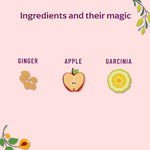 Thumbnail for Panchamrit Apple Cider Vinegar Effervescent Tablets-Apple Flavor - Distacart