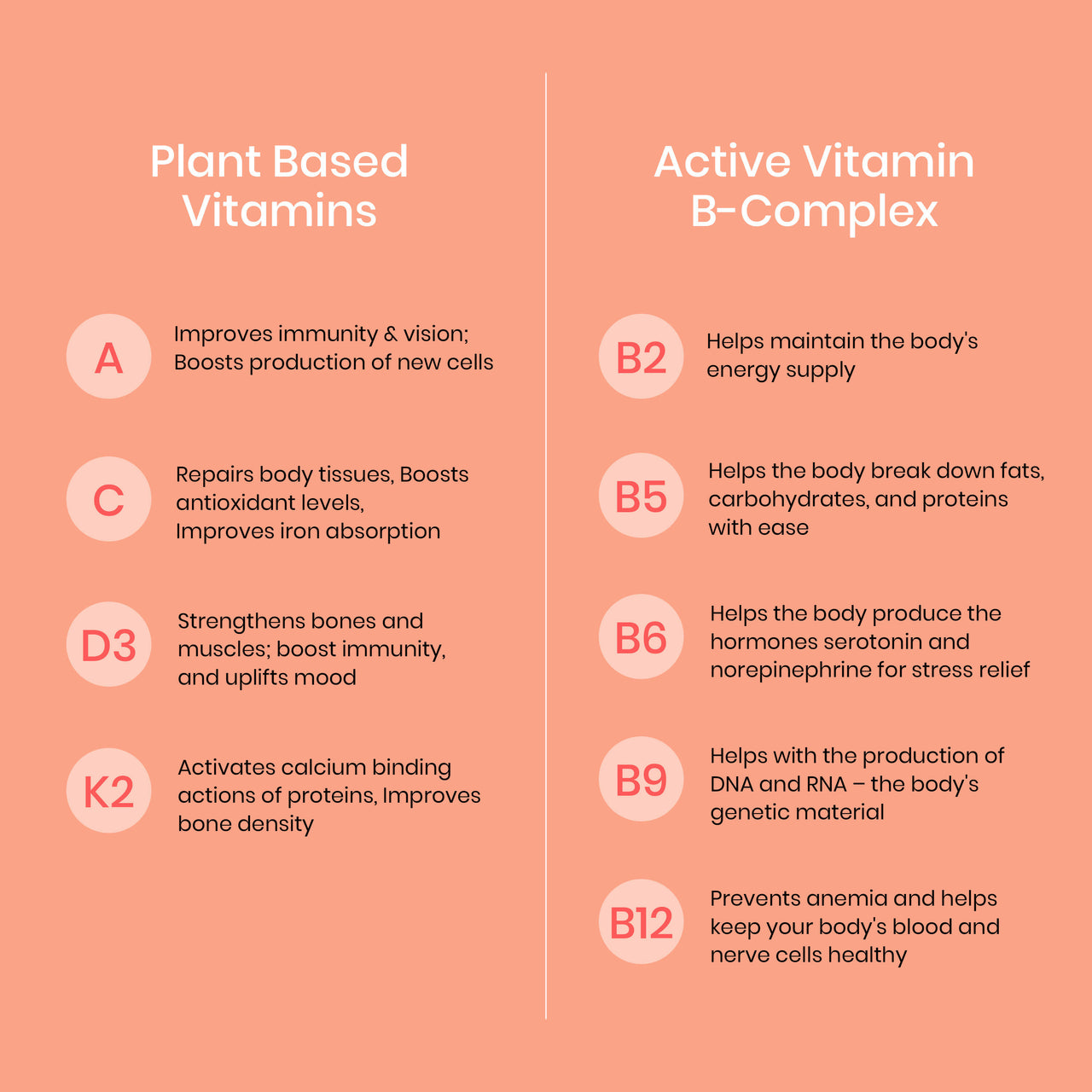 Wellbeing Nutrition Melts Into Multivitamins Oral Strips-Divine Alphonso Mango Flavor - Distacart