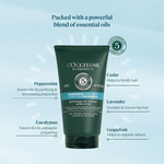 Thumbnail for L'Occitane Purifying Freshness Scalp Scrub - Distacart