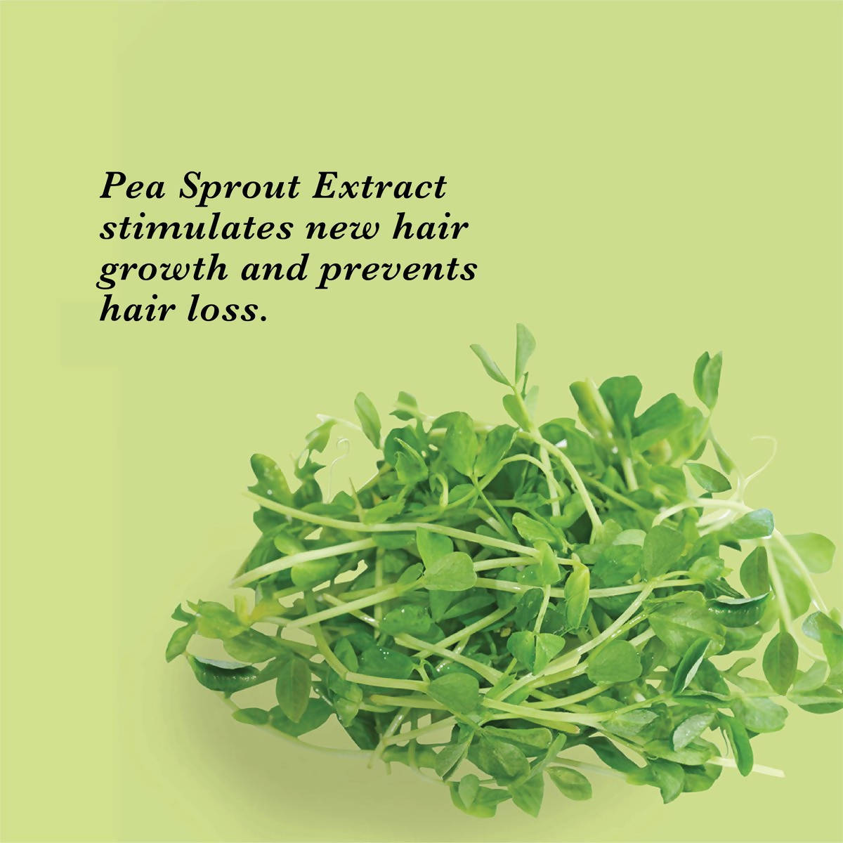 True Hair-Fall Control Bundle Shampoo 250 ml & Conditioner 250 ml