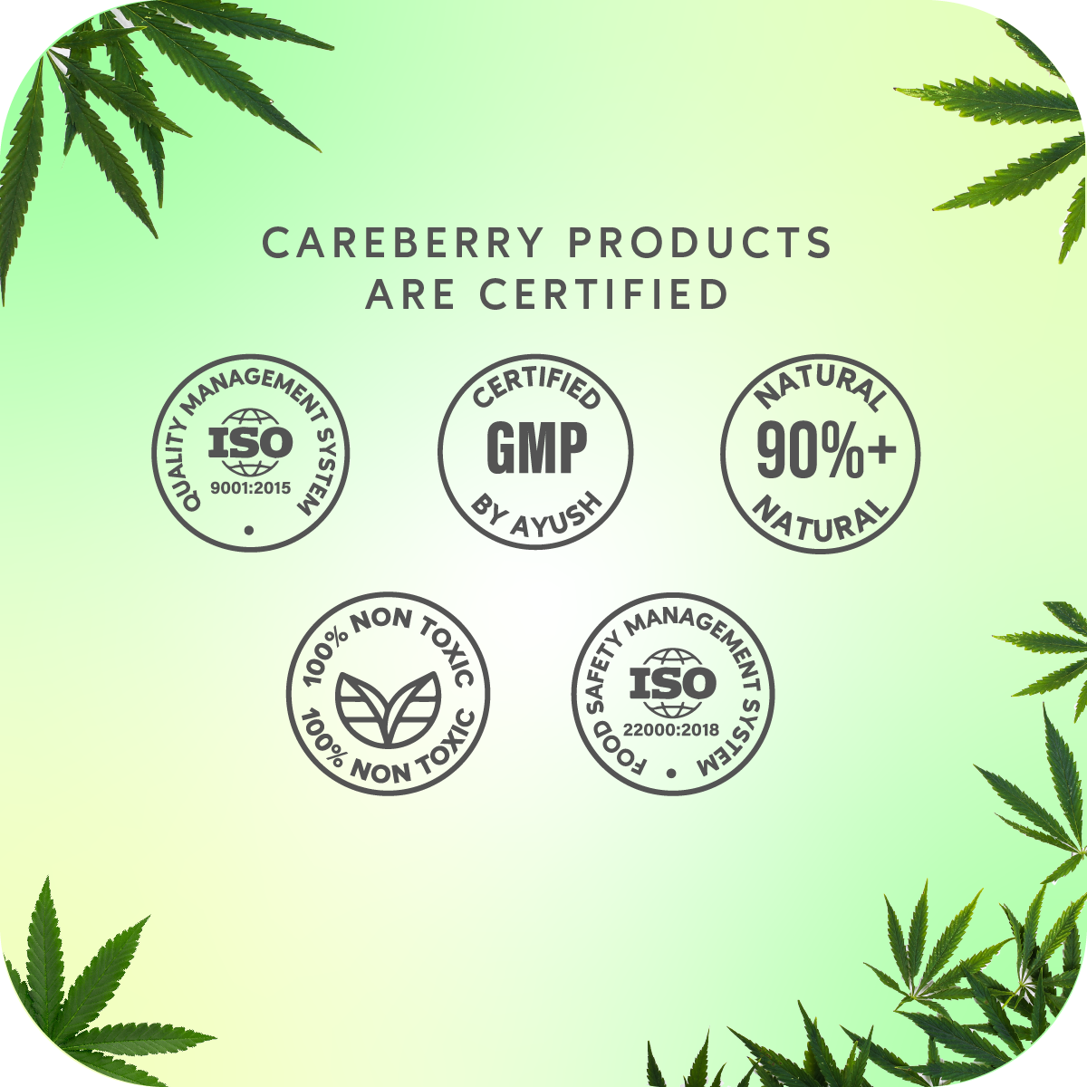 Careberry Organic Tea Tree Eucalyptus Oil Shower Gel - Distacart