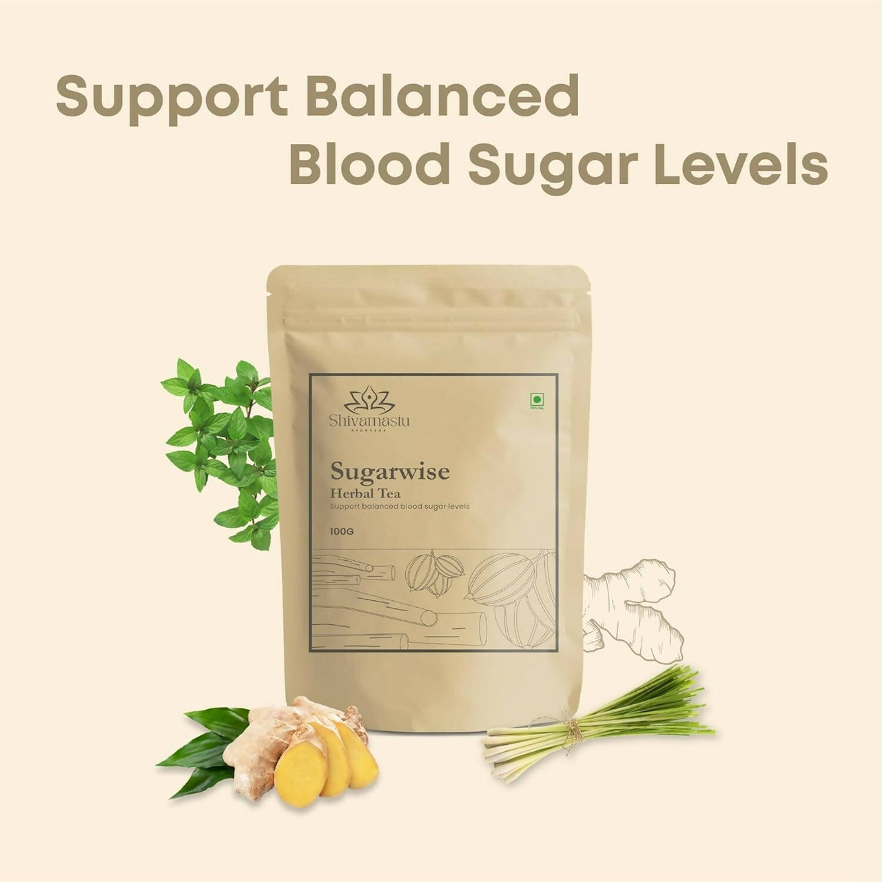Shivamastu Ayurveda Sugarwise Herbal Tea - Distacart