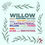 Thumbnail for Ningen Willow Spot Correction Face Gel - Distacart