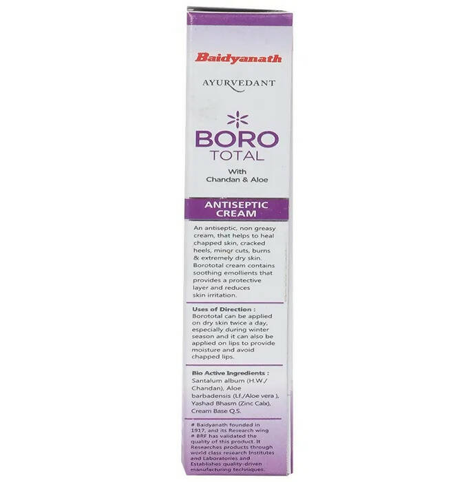 Baidyanath Jhansi Ayurvedant Boro Total Antiseptic Cream - Distacart
