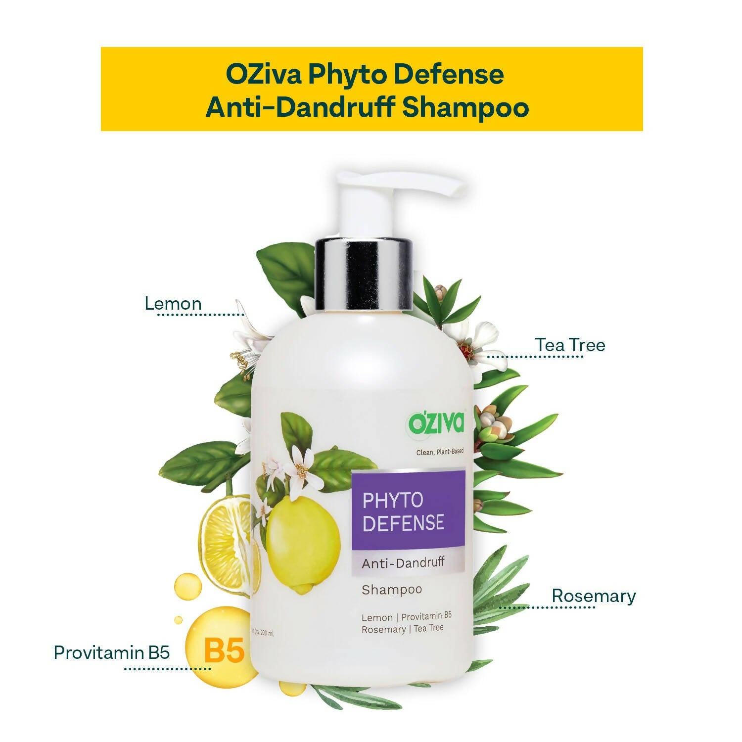 OZiva Phyto Cleanse Anti-Dandruff Shampoo - Distacart