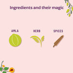 Thumbnail for Panchamrit Chyawanprash Gummies - Distacart