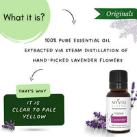 Thumbnail for Mystiq Living Originals Lavender Essential Oil - Distacart