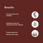 Thumbnail for Dwibhashi Vatada Tel Almond Oil