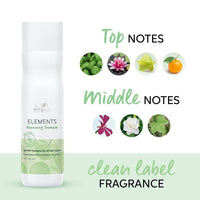 Thumbnail for Wella Professionals Elements Renewing Shampoo - Distacart