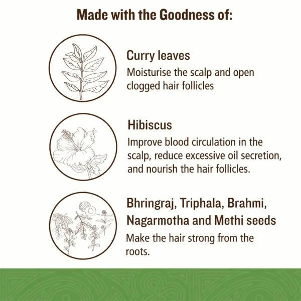 SoulTree Intensive Hair Therapy Oil Key Ingredients