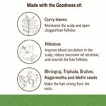 Thumbnail for SoulTree Intensive Hair Therapy Oil Key Ingredients