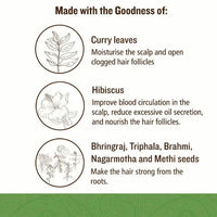 Thumbnail for SoulTree Intensive Hair Therapy Oil Key Ingredients