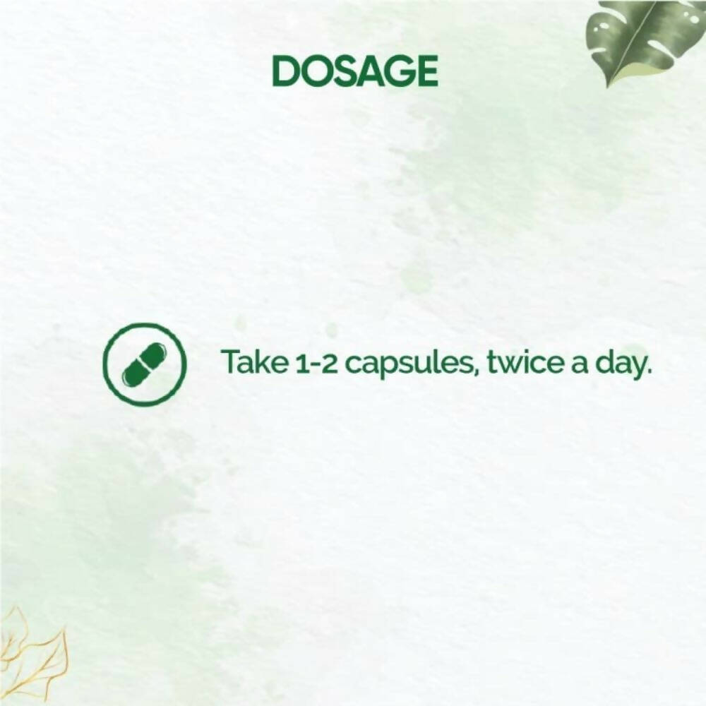 Dr. Vaidya's Pain Relief Capsules - Distacart