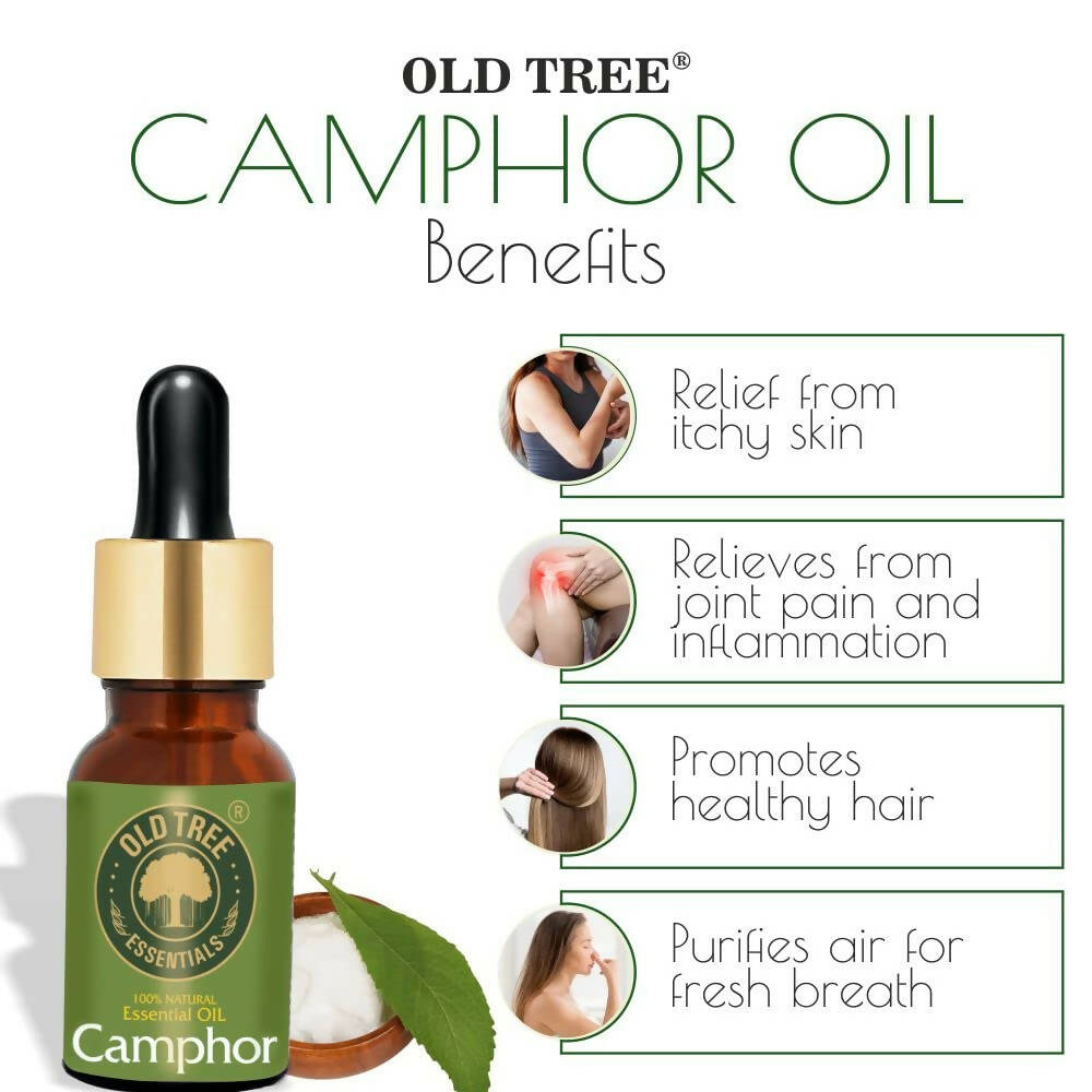 Old Tree Camphor Essential Oil - Distacart