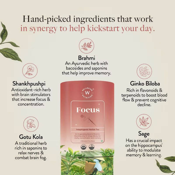 Wellbeing Nutrition Focus Herbal Tea - Distacart