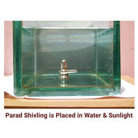 Thumbnail for G.S Rana Parad Shivling (50 Gram) Parad Shivling (29 mm) water