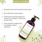 Thumbnail for Glamveda Tea Tree Shampoo