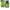 SBL Homeopathy Bio-Combination 26 Tablets