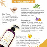 Thumbnail for Glamveda Rice Water & Fenugreek Daily Shine & Care Shampoo