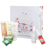 Thumbnail for Mantra Herbal Herbal Radiance Facial Kit - Distacart