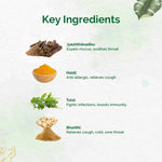 Thumbnail for Dr. Vaidya's Kadha Sips - Distacart