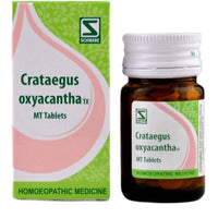 Thumbnail for Dr. Willmar Schwabe India Crataegus Oxyacantha 1X MT Tablets