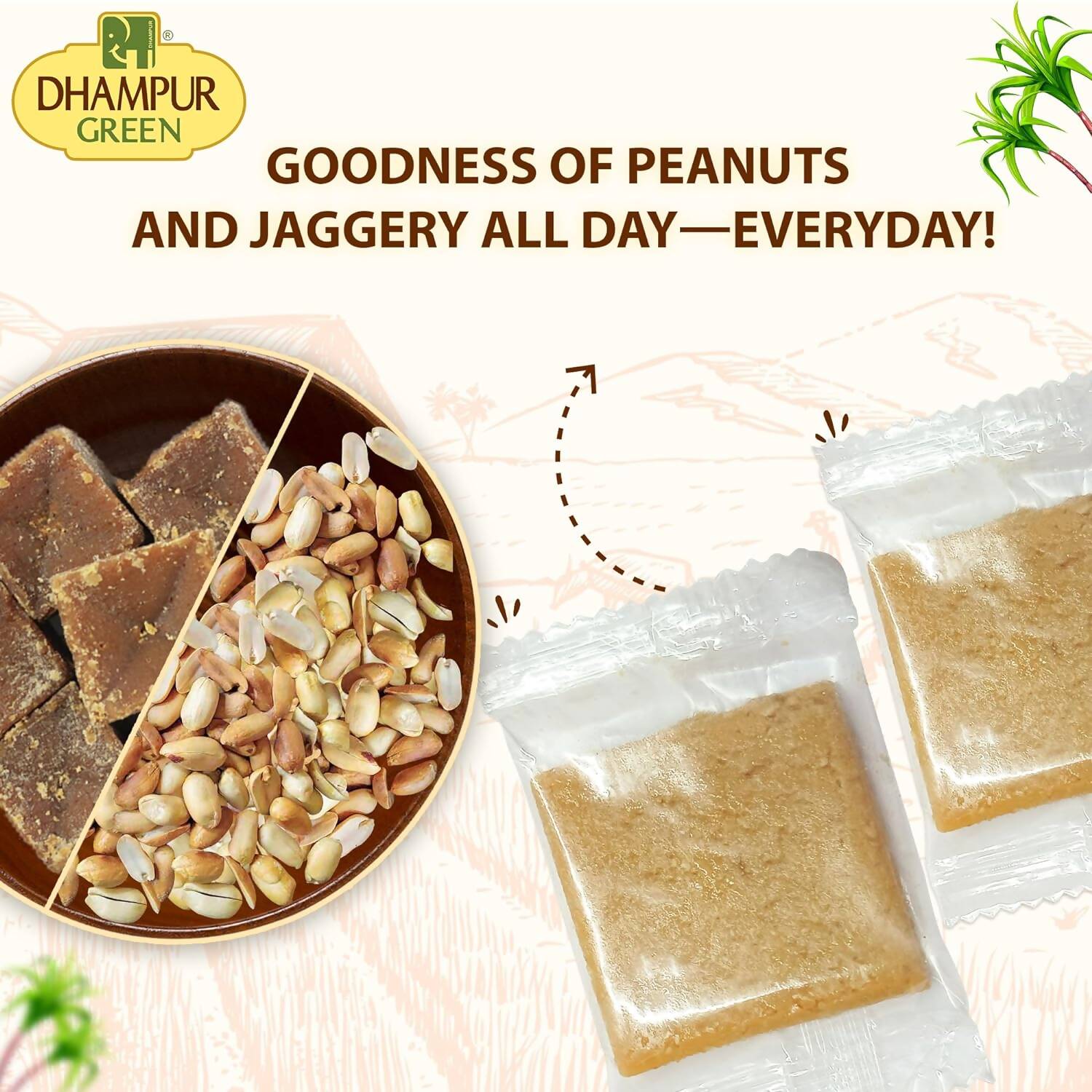 Dhampur Green Peanut Energy Bar - Distacart