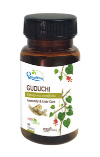 Thumbnail for Dhootapapeshwar Guduchi Tablets