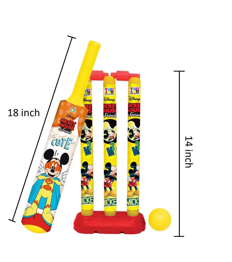 Manaki Enterprise Cricket Set For Kids - Distacart