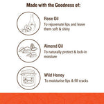 Thumbnail for Soultree Ayurvedic Lip Gloss - Rich Earth Ingredients