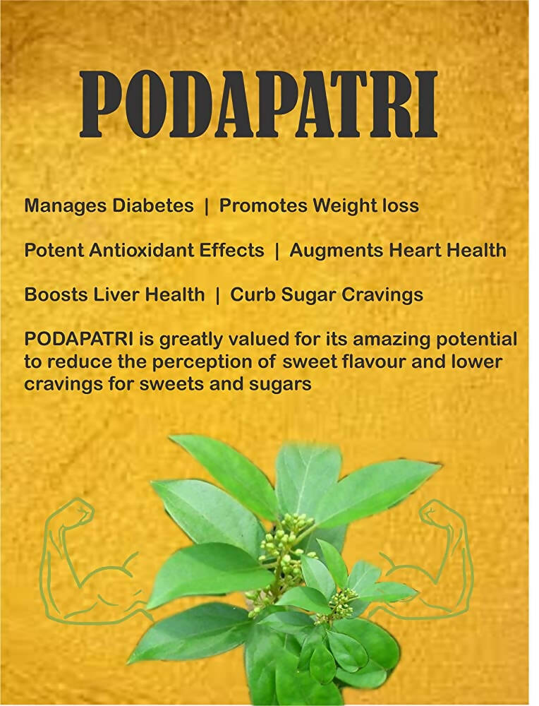 Spag Herbals Podapatri Powder - Distacart