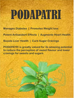 Thumbnail for Spag Herbals Podapatri Powder - Distacart