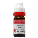 Thumbnail for Dr. Reckeweg Allium Cepa Dilution - Distacart