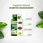 Thumbnail for Himalayan Organics Diabetes Support Capsules - Distacart