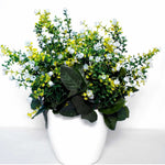 Thumbnail for Chahat Decorative Artificial plant for home & office