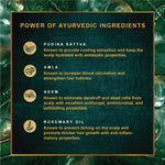 Thumbnail for Indulekha Dandruff Treatment Shampoo - Distacart