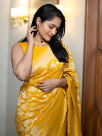 Thumbnail for Kalini Ethnic Motifs Woven Design Banarasi Saree - Distacart