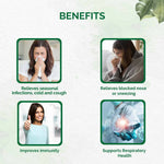 Thumbnail for Dr. Vaidya's Kadha Sips - Distacart